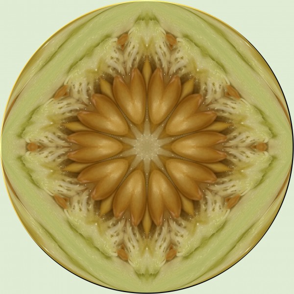 melon 1 by Danou